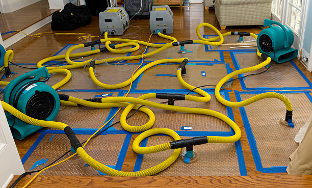 Professional Basement Flood Cleanup technician working in Morris Plains, NJ